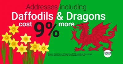 Daffodils & Dragons