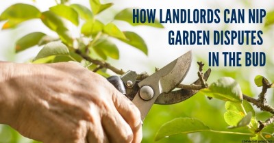 How Landlords Can Nip Garden Disputes in the Bud