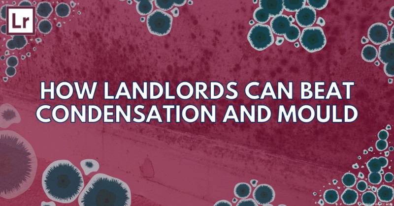 How to Prevent Mould and Condensation in Your Rental Property