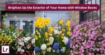 How to Create Window Box Magic at Your Ruislip Home